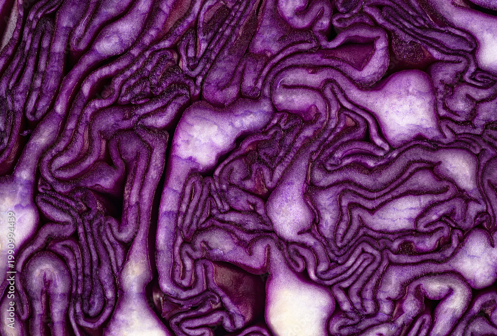 Obraz premium Background of purple cabbage in a section, macro photography. Texture and pattern of raw red cabbage.