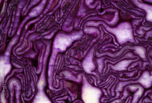 Background of purple cabbage in a section, macro photography. Texture and pattern of raw red cabbage.