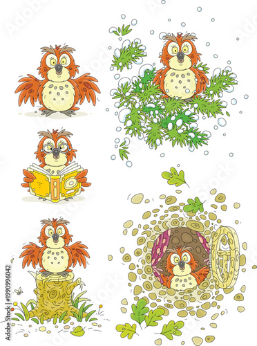 Funny forest brown owl with spread wings perching on a fir tree branch, looking out of a hollow, reading a book, standing on a stump, a set of vector cartoon illustrations on white