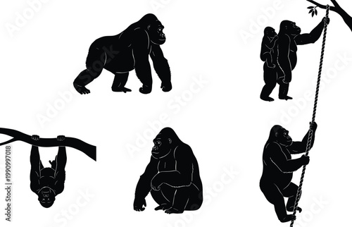 Gorilla silhouette vector set, climbing, sitting, walking poses, primate behavior illustration for jungle, wildlife, nature, educational, and design content