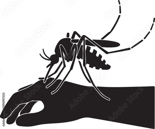 Mosquito Biting Human Skin Silhouette Illustration Showing Blood Feeding Insect Vector Design Concept for Disease Spread Malaria Dengue Infection Awareness and Medical Education
