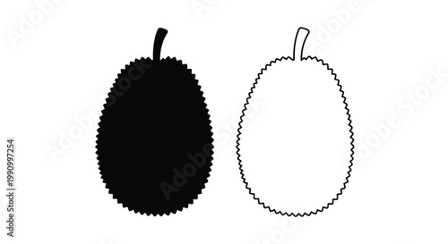 Two durian fruits one dark and one light in silhouette