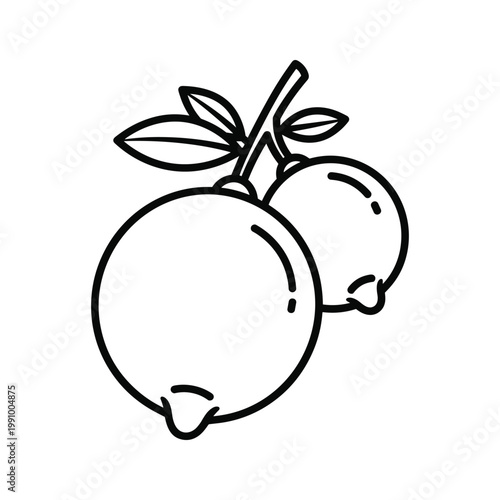 Lemon Fruit Branch Duo Commercial Vector