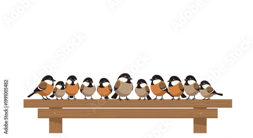 A row of twelve small round brown and black birds are perched side-by-side on a long horizontal wooden fence rail against a bright and clean white background.