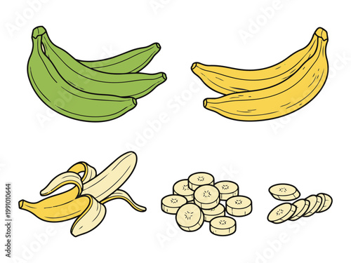 Banana fruit vector illustration set featuring green plantains yellow bunches and sliced pieces.
