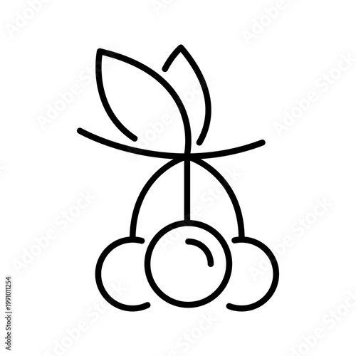 Rowan berry icon. Food and berries line symbol. Black and white.