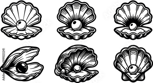Black and white line art collection of six open pearl shells vector illustrations