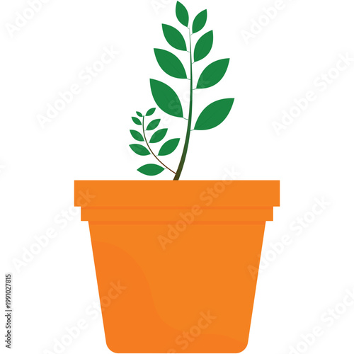 Potted plant vector flat flower isolated icon