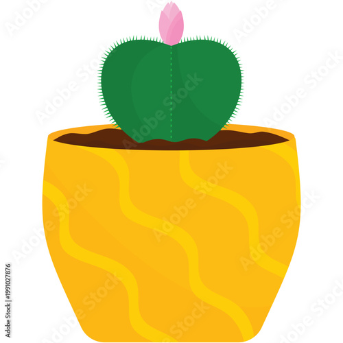 Cactus vector cacti desert bloom flower isolated