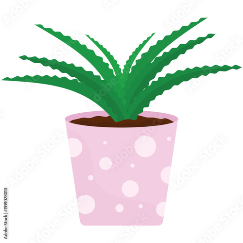 Aloe vera flower plant in pot vector icon