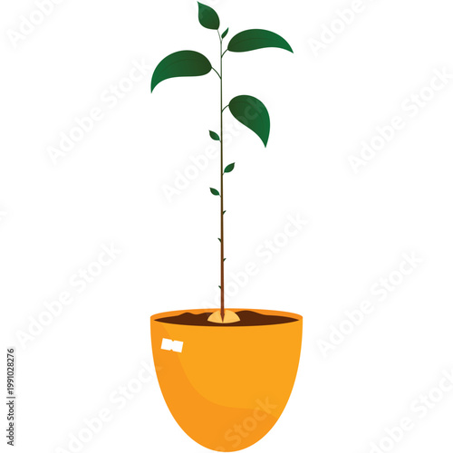 Green plant vector flat flower in pot flat icon