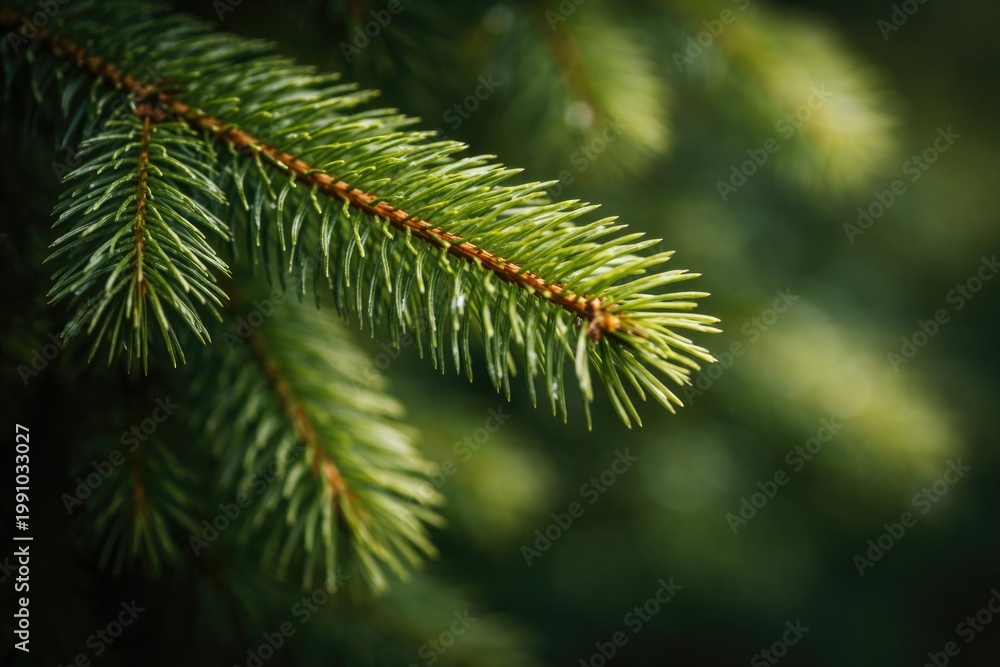 Fototapeta premium Macro shot of a fresh fir tree limb displaying delicate texture plus copy space