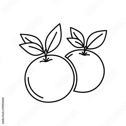 Two fresh oranges with leaves icon isolated vector for citrus fruit and healthy food and juice production and beverage industry and organic market branding and design elements