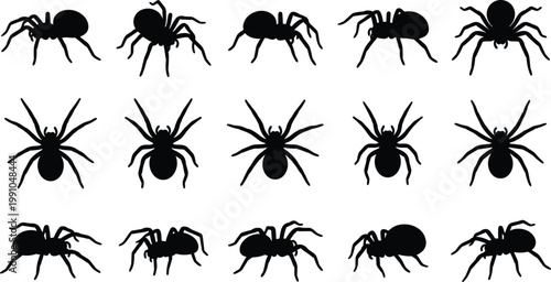 Spider silhouettes collection, arachnid insect vector illustration, creepy crawly Halloween artwork design graphic - black and white flat vector illustration