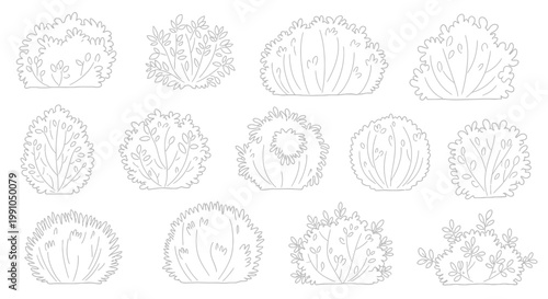A collection of various succulent plant illustrations.