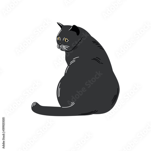 Black cat sits with back turned and looks over its shoulder in a simple design