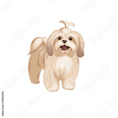 Fluffy dog stands happily with a slight smile in a simple background