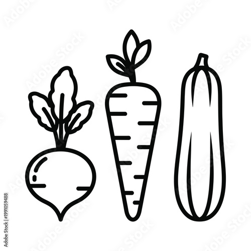 Set of fresh organic vegetables including beet carrot and zucchini in simple black line art style