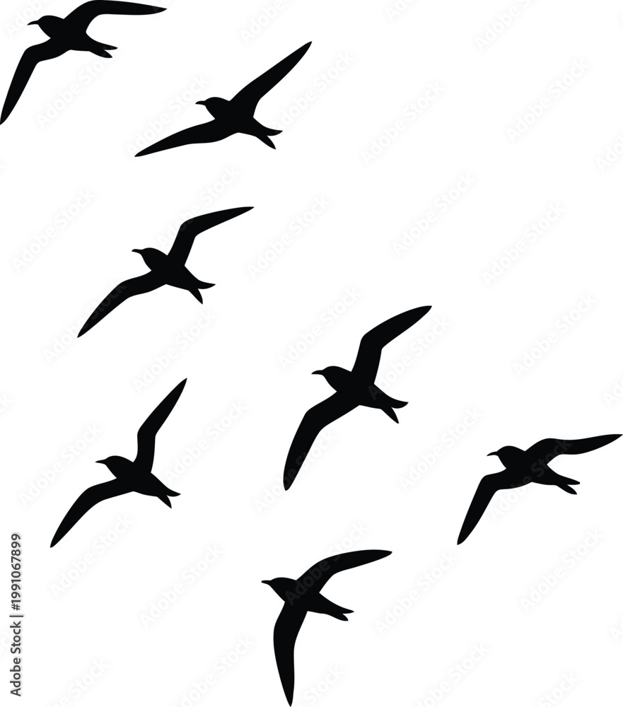 Obraz premium Flying birds silhouettes set seagulls in sky wildlife nature freedom concept isolated on white background vector illustration design collection