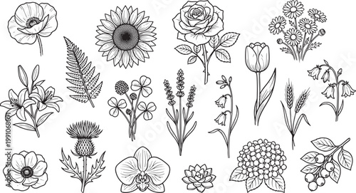 Set of hand drawn flowers and plants isolated on a transparent background