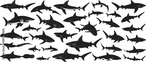 Cuadro en lienzo Shark, silhouettes, set, black, marine, fish, collection, vector, isolated, ocea