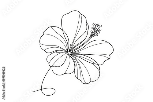 Customizable stroke hibiscu...