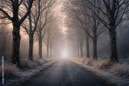 A serene photo of leafless ...