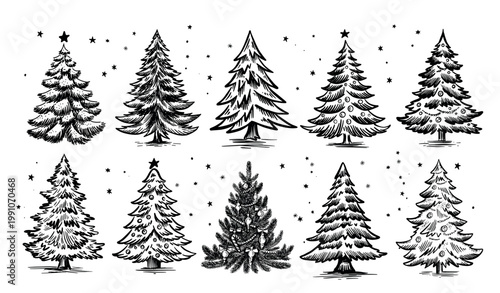Christmas tree set on white. Hand drawn illustration.