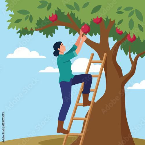 A woman climbs a ladder to pick ripe apples from a tree, showcasing the beauty of nature and the rewarding experience of harvesting fruits in a serene outdoor environment.