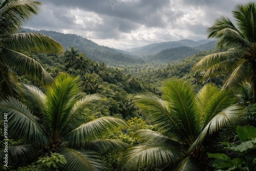 Lush palm crowns with cloud...