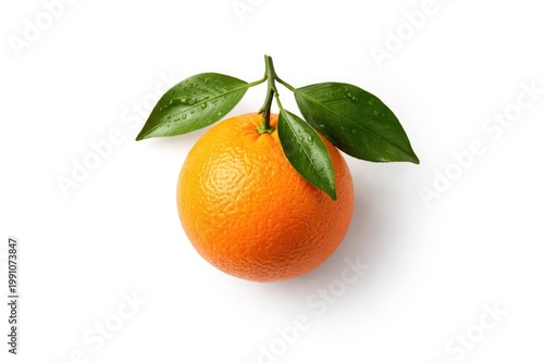 Isolated orange citrus with...