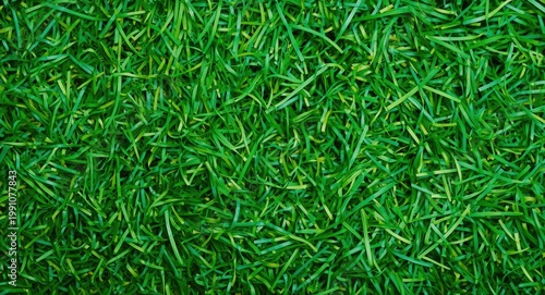 Top view of shredded green ...