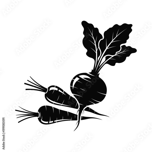 Fresh beet and carrots with leaves silhouette icon for organic farming and healthy lifestyle