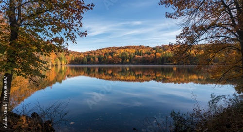 Still Autumn Lake Surrounde...