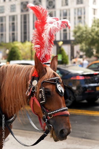 Charming Urban Depiction With Elaborately Adorned Horse And Vibrant City Life Atmosphere. New York