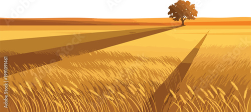 Grass Texture Minimalist Wheat Field Golden Sunlight Rural Landscape