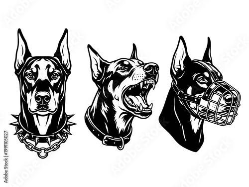 Set of three various heads. Dog with spiked and chain collar, dog with muzzle. Calm and Barking doberman vector
