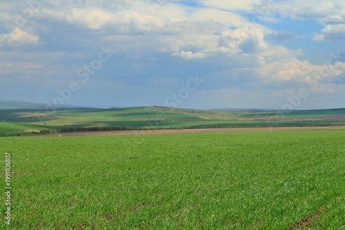 A large green field
