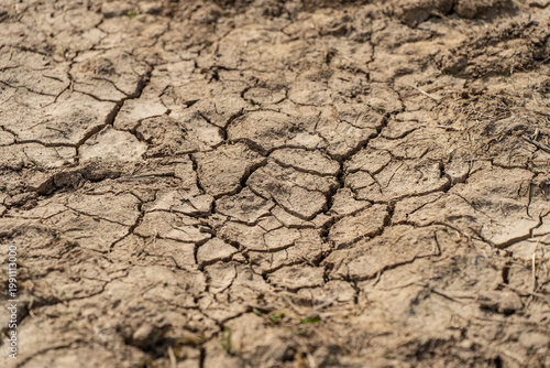Fotografía Natural pattern of dry cracked mud on the ground in a desert landscape environme