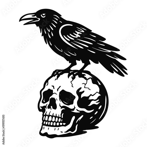 Raven on skull doodle vector illustration in gothic hand drawn tattoo style with dark spooky bird