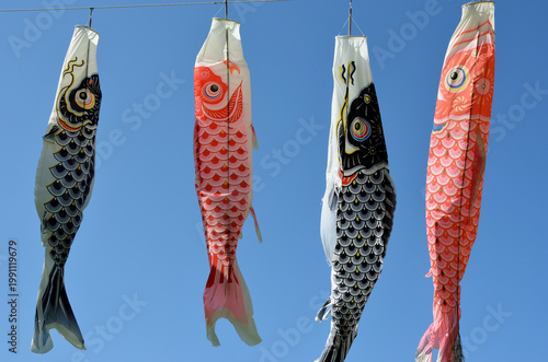 鯉のぼりと青空