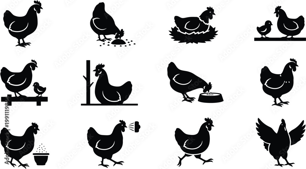 Obraz premium Farm Poultry Chicken Vector Graphic Silhouettes and Icons Set