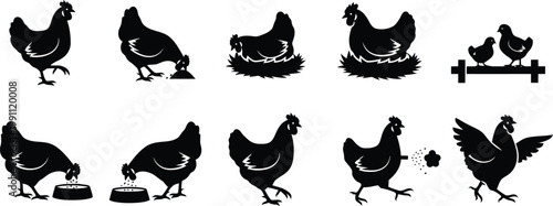 Collection of chicken hen poultry animal farm vector graphic icons