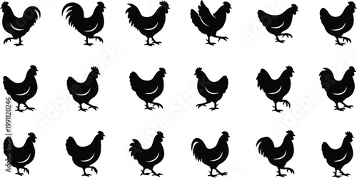 Chicken Rooster Birds Vector Graphic Illustration Silhouettes Collection Set Farm Animals