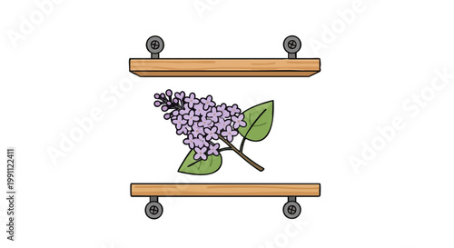 Lilac flower being pressed in wooden herbarium press. Simple vector illustration of preserving flowers
