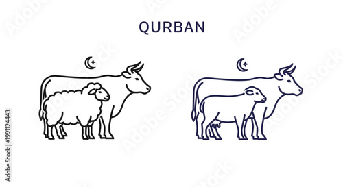 Cows and calves for Qurban sacrifice.