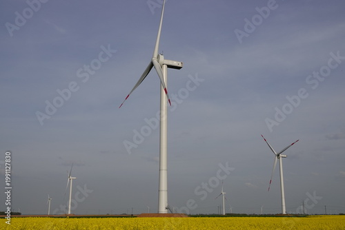 wind turbine in the field