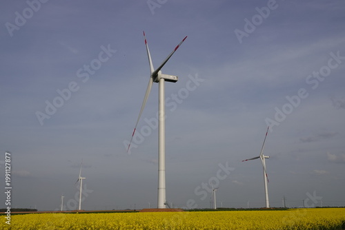 wind turbine in the field
