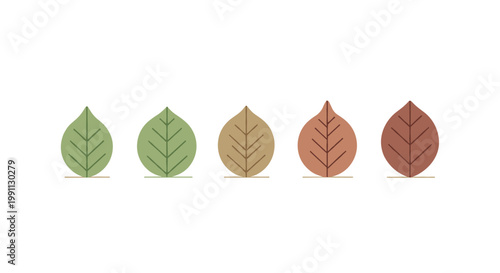 Minimalist autumn leaves in gradient color shades on white background