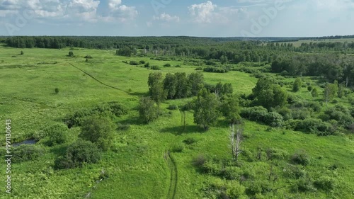 Drone view of countryside. Fields and forests in summer. 